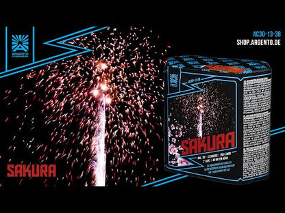 Argento Sakura AC30-13-38