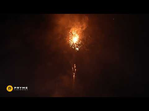 Pryme 144’S Compound Byte 8-144