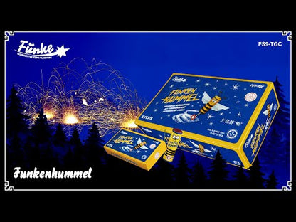 Funke Funken-Hummel FS9-TGC